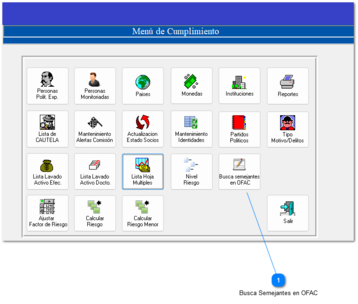 3.5.17 Busca Semejantes en OFAC