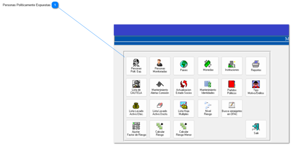 3.5.1 Personas Políticamente Expuestas