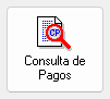 1. Consulta de Pagos